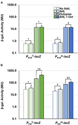 Co-dependent and Interdigitated: Dual Quorum Sensing Systems Regulate Conjugative Transfer of the Ti Plasmid and the At Megaplasmid in Agrobacterium tumefaciens 15955